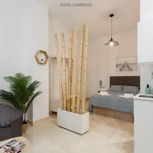 Apartment Lumbreras, Seville